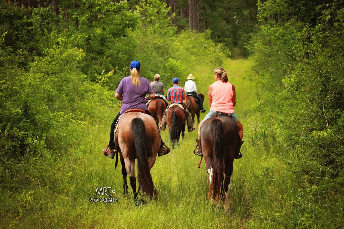 All-Inclusive Retreat & Horse Training COMBO!